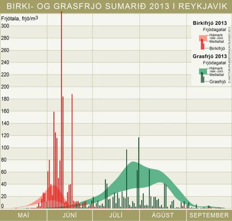 Birki- og grasfrjó sumarið 2013 í Reykjavík