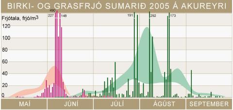 Birki- og grasfrjó sumarið 2005 á Akureyri