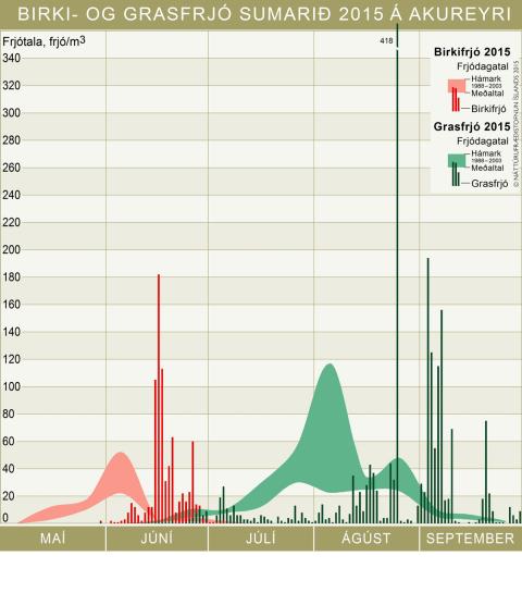 Birki- og grasfrjó sumarið 2015 á Akureyri