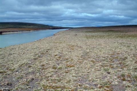 Uppgrætt land við Blönduvirkjun Uppgrætt land við Blönduvirkjun