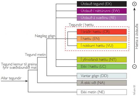haettuflokkar-iucn.JPG Hættuflokkar IUCN vegna válistamats