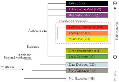 Structure of IUCN Red List Categories