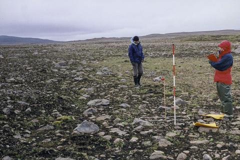 helumosavist1-2.jpg Hélumosavist