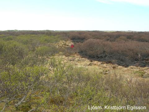 Brunasvæði í landi Jarðlangsstaða 2010