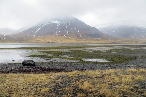 kraeklingaleira_dyrafjordur.jpg Kræklingaleirur