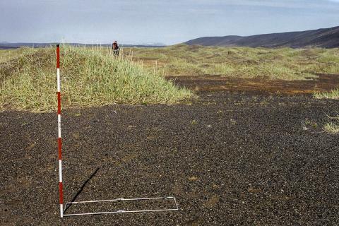 landmelholavist1-2.jpg Landmelhólavist