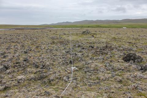 lynghraunavist2-2.jpg Lynghraunavist