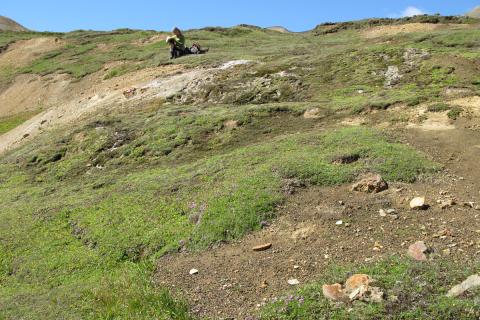 moahveravist-img_1387.jpg Móahveravist