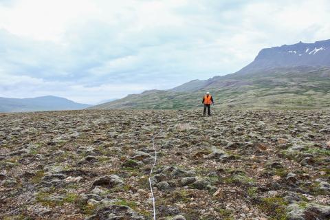 Mosamelavist á Hesthálsi í Breiðdal