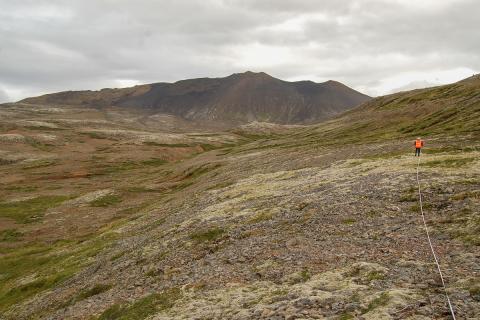 Mosamelavist á áveðra bungum við Vikrafell í Borgarfirði