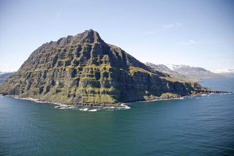 Norðfjarðarnípa