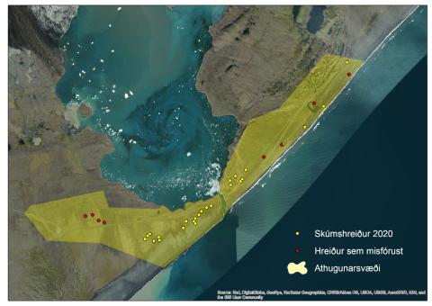 Kortlagning Skúmshreiðra á Breiðamerkursandi