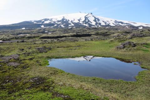 Snæfellsjökull, hraunbreiða, graslendi og stöðuvatn lýsa nokkrum vistgerðum á Íslandi