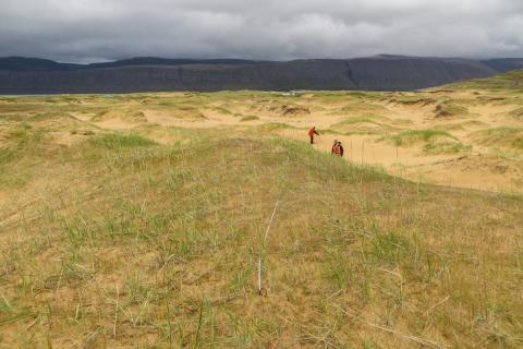 Strandmelhólavist