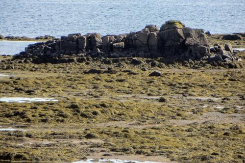 thangklungur_vatnsfjordur.jpg Þangklungur